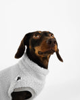 Bild in Galerie-Betrachter laden, Dackel Teddy Shirt 2.0 in Light Gray

