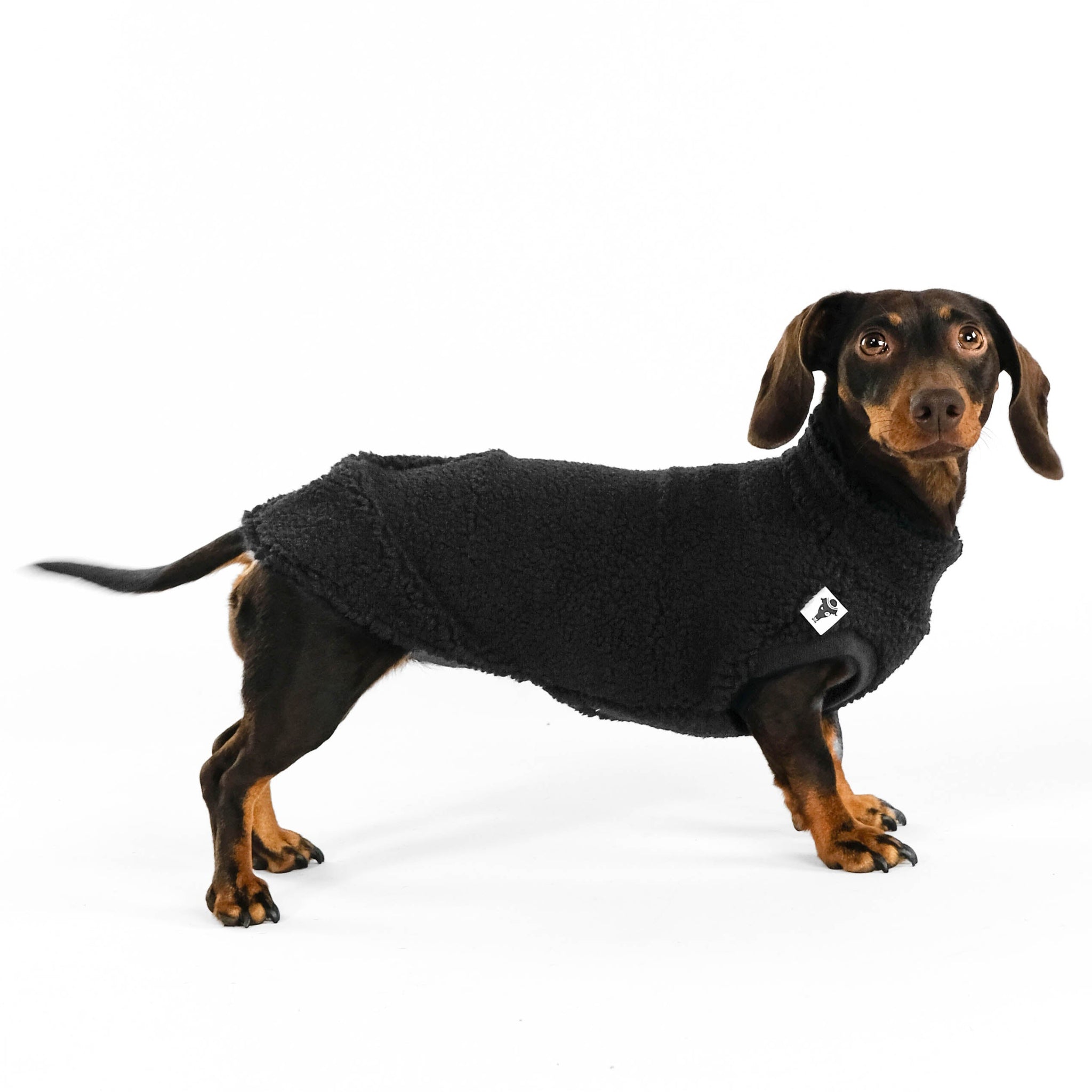 Dackel Teddy Shirt 2.0 in Schwarz