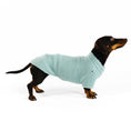 Bild in Galerie-Betrachter laden, Dackel Pullover Teddy Mint
