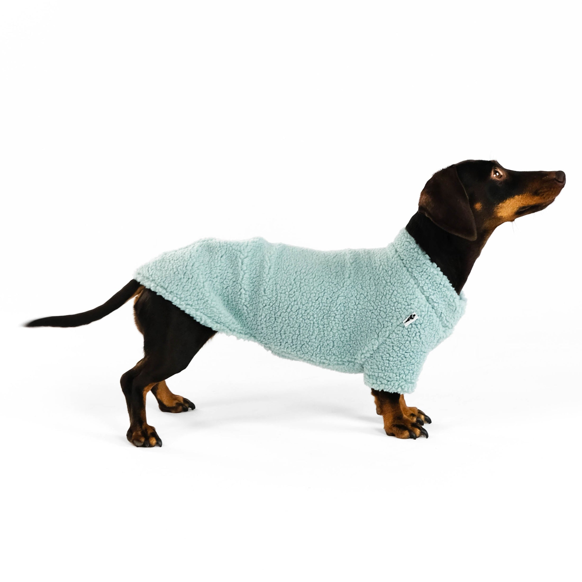 Dackel Pullover Teddy Mint