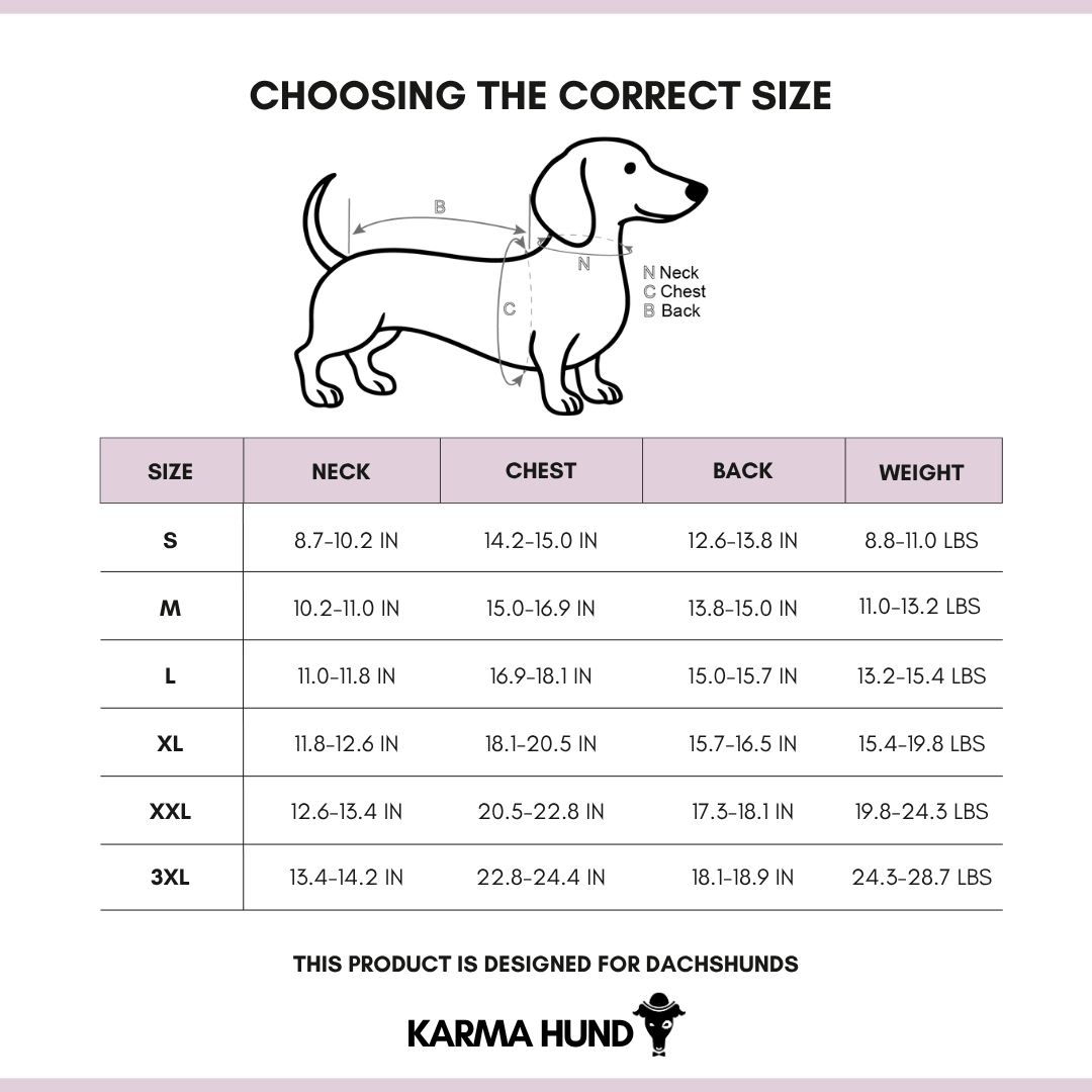 Dackel Clothing Size Chart English 2025