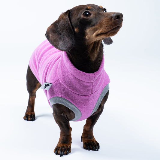 Dackel präsentiert Long Shirt in Bubblegum vor weißem Hintergrund – funktional und stilvoll