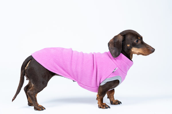 Dackel trägt Long Shirt in pink – weicher Stoff, optimaler Sitz für kühlere Tage