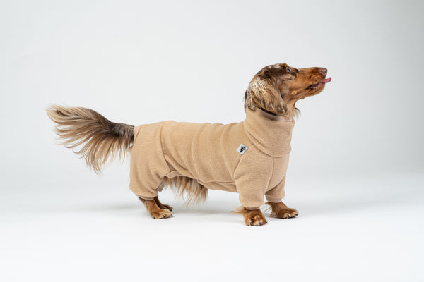 Zwergdackel posiert im Camel-Fleece-Overall – komfortable Passform für langen Rücken.