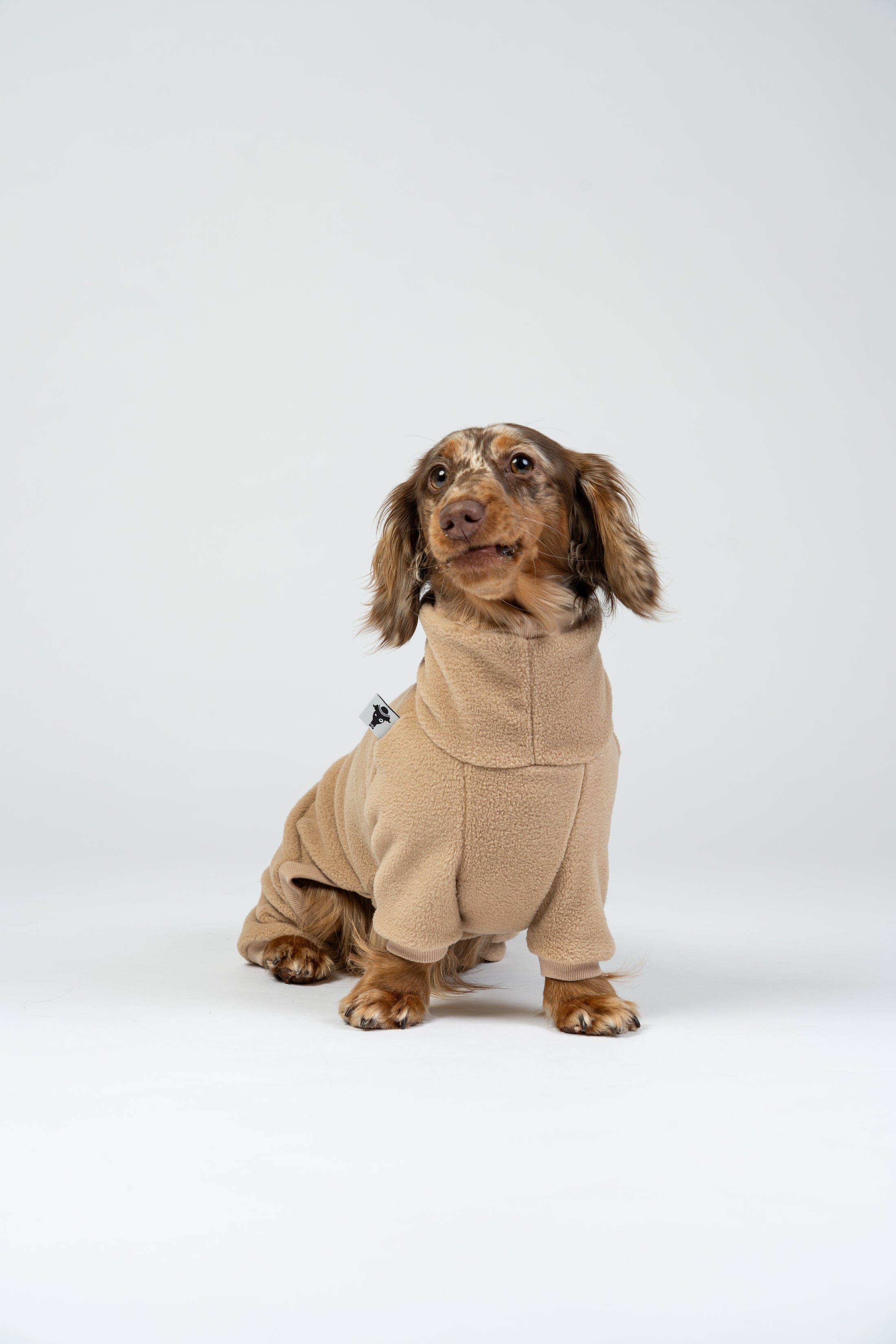 Langhaar-Dackel im weichen Camel-Fleeceoverall – idealer Schutz an kalten Tagen.