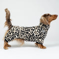 Bild in Galerie-Betrachter laden, Fröhlicher Zwergdackel im Leoparden-Overall – stilvoller Hundeschutz für kalte Tage.
