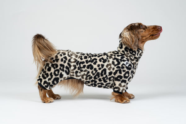 Langhaar-Dackel trägt weichen Leo-Overall – funktionale und modische Hundebekleidung.