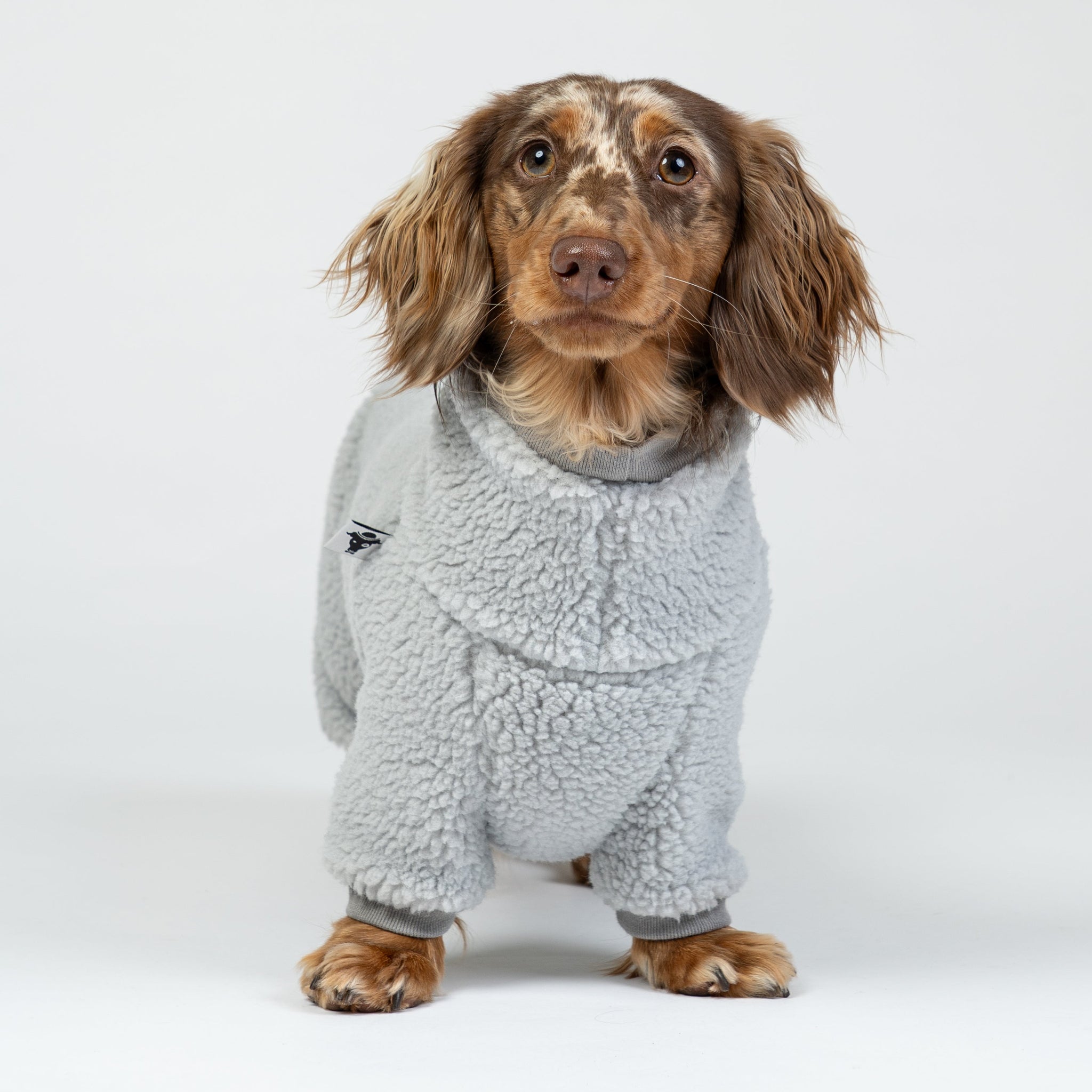 Dackel trägt flauschigen Teddy-Overall in Light Grey – warmer, kuscheliger Ganzkörperanzug für kleine Hunde.