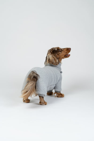 Dackelmodel im flauschigen hellgrauen Teddy-Overall – idealer Winteroverall für Dackel-Proportionen.