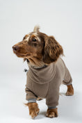 Bild in Galerie-Betrachter laden, Dackel läuft im walnutfarbenen Fleeceoverall – flexibler, weicher Schutz vor Kälte.

