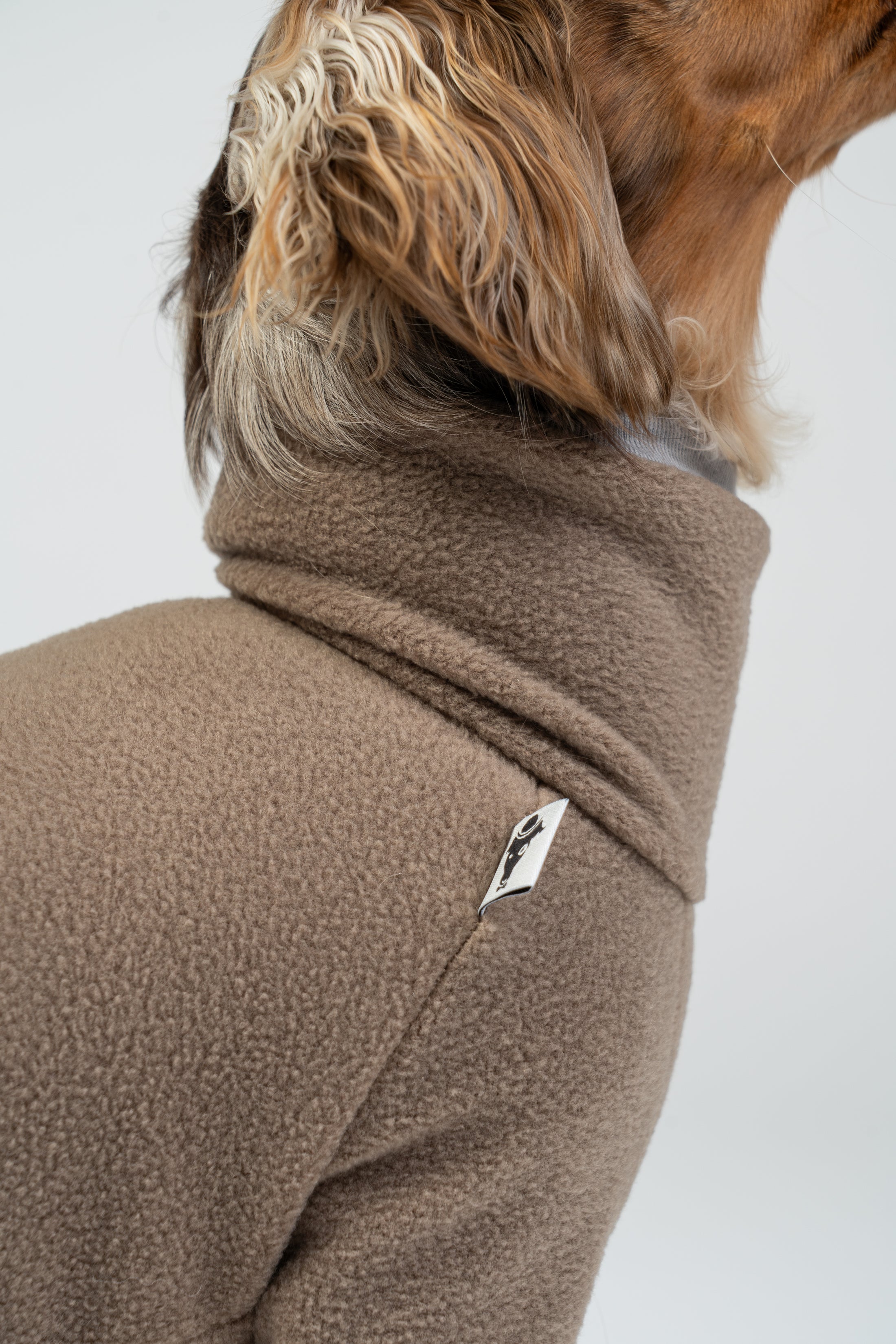 Langhaar-Dackel im walnutfarbenen Fleeceoverall – weicher Schutz vor Kälte.