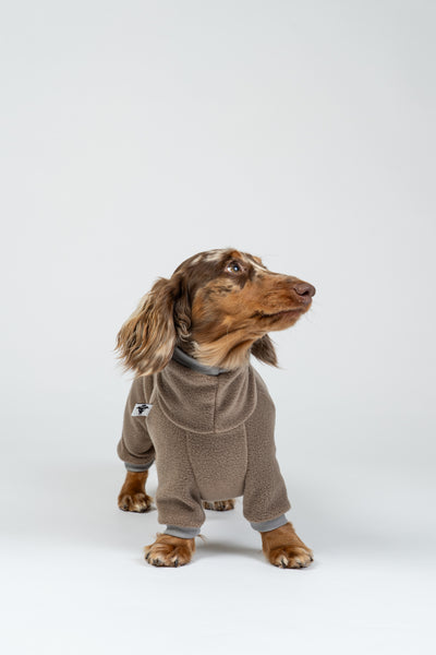 Fröhlicher Zwergdackel im Fleece-Overall in Walnut – wärmender Einteiler für Spaziergänge.