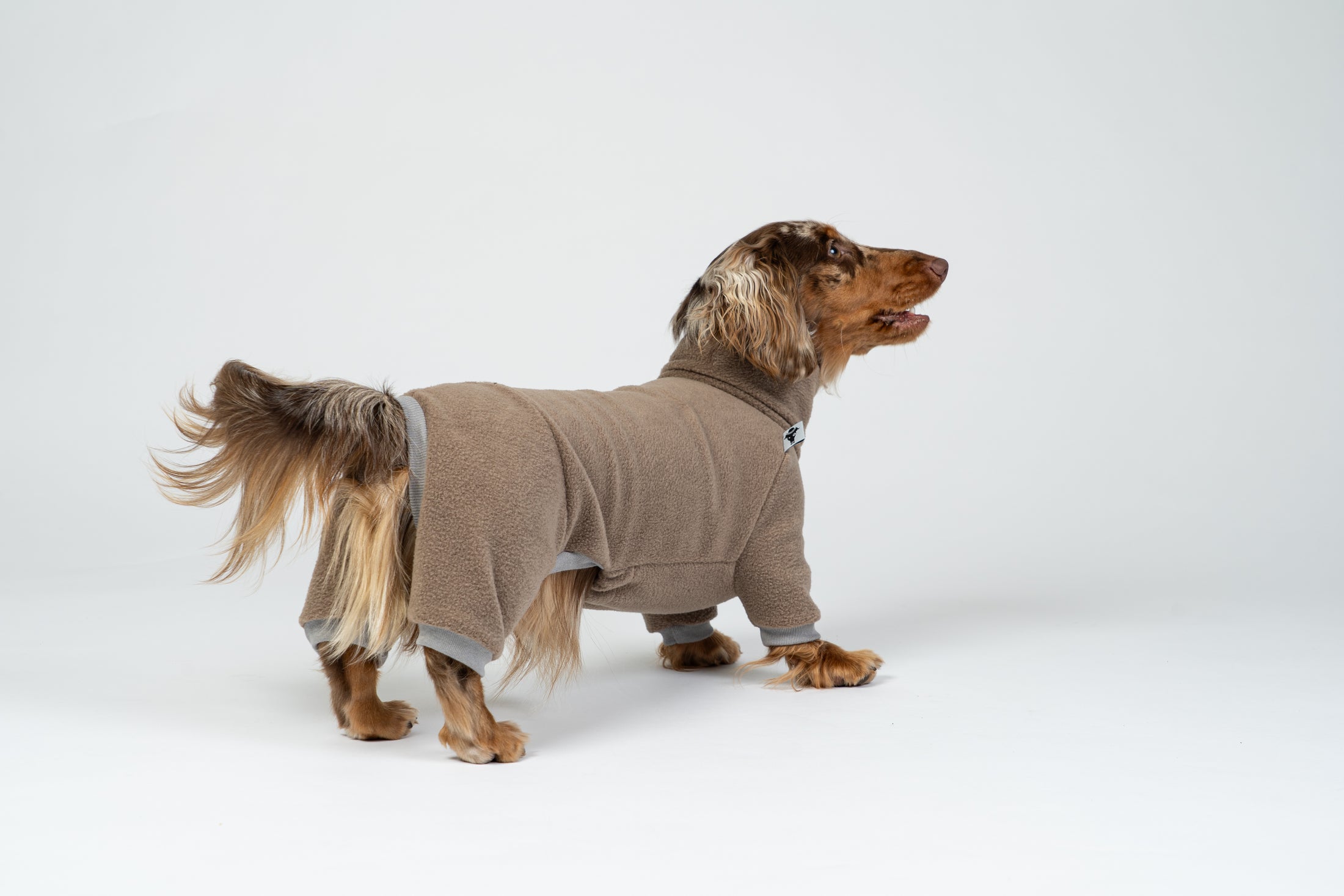 Dackel trägt warmen Fleeceoverall in Walnut – ideal für Herbst und Winter.