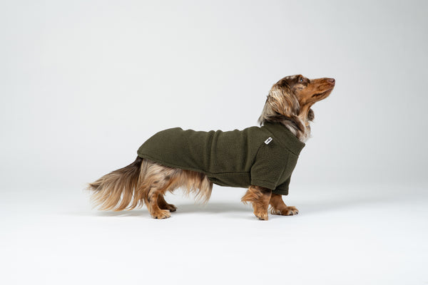 Langhaar-Dackel im Fleece-Pullover in Dark Olive – leichter, wärmender Hundesweater.