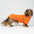 Bild in Galerie-Betrachter laden, Dackel trägt orangefarbenen Fleece-Pullover – warmer Hundepullover im Studio.

