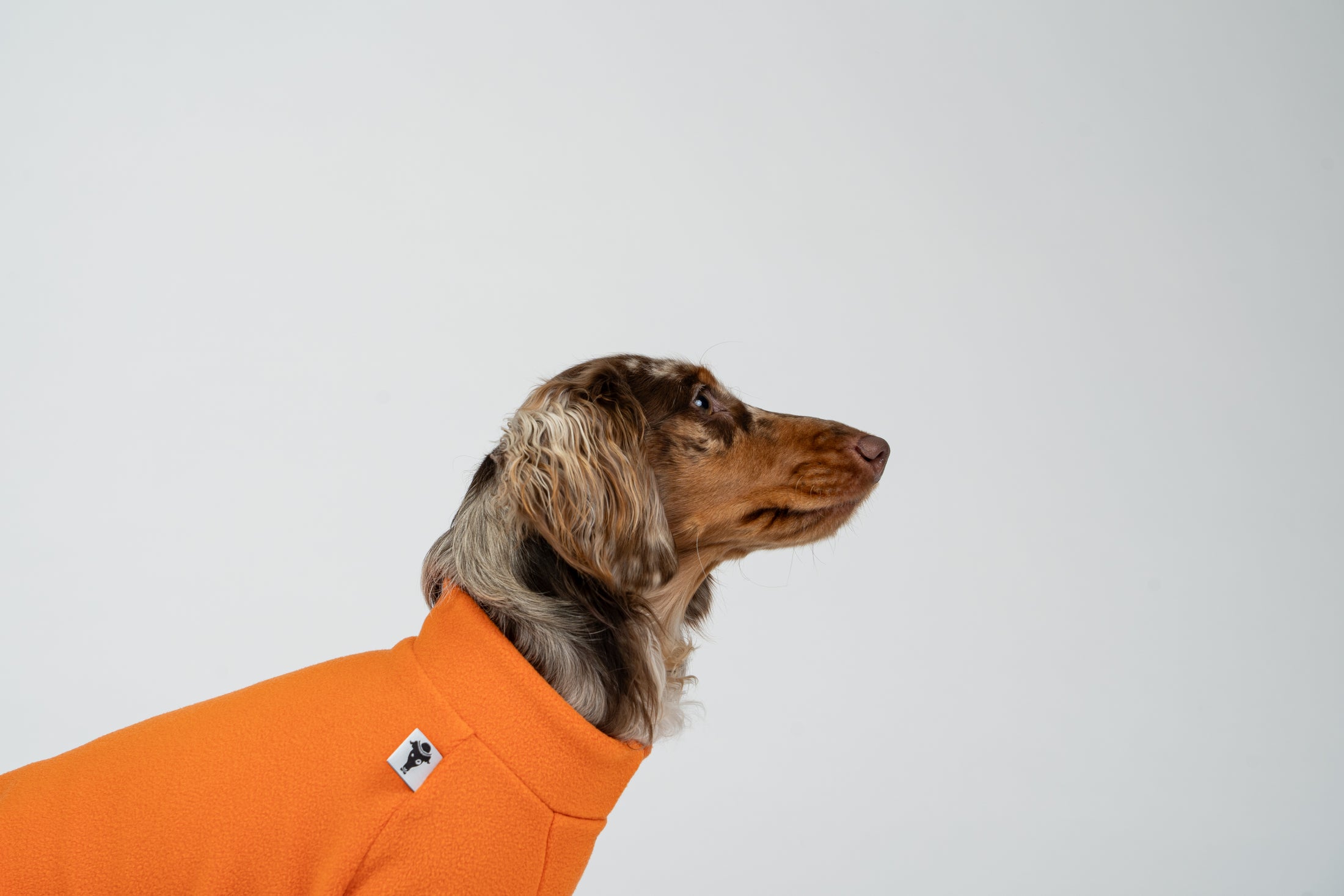 Dackelmodel präsentiert orangefarbenen Fleecepullover – ideal für Herbst und Winter.