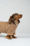 Bild in Galerie-Betrachter laden, Dackel präsentiert kuscheligen Camel-Teddy-Fleece-Pullover – perfekt für kleine Hunderassen.
