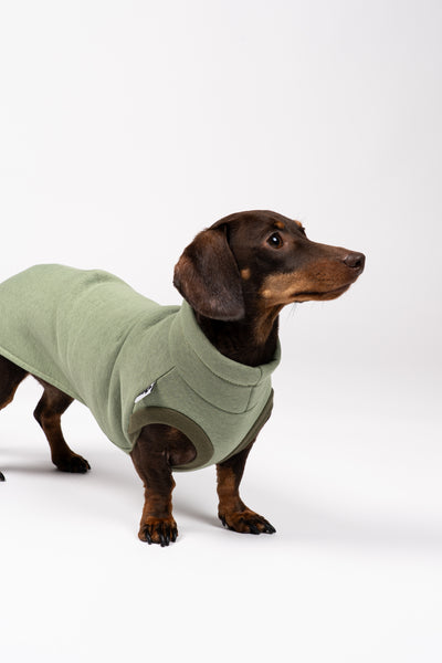 Kuscheliges Sweat Shirt in Matcha am Dackel – ideal für kühle Tage