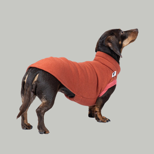 Terracottafarbener Dackelpullover – Sweat Shirt aus Baumwollfleece, ideal für kühle Tage