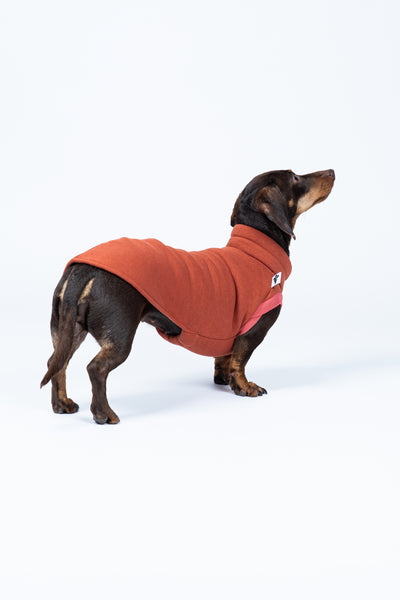 Terracottafarbener Dackelpullover – Sweat Shirt aus Baumwollfleece, ideal für kühle Tage