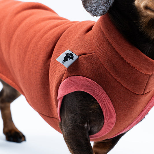 Nahaufnahme: Kragen, Naht und Material des Terracotta-Sweat Shirts für Dackel im Fokus