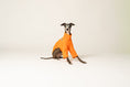 Bild in Galerie-Betrachter laden, Windspiel-Mode: oranger Fleece-Pullover für Hunde – stylisch und praktisch zugleich
