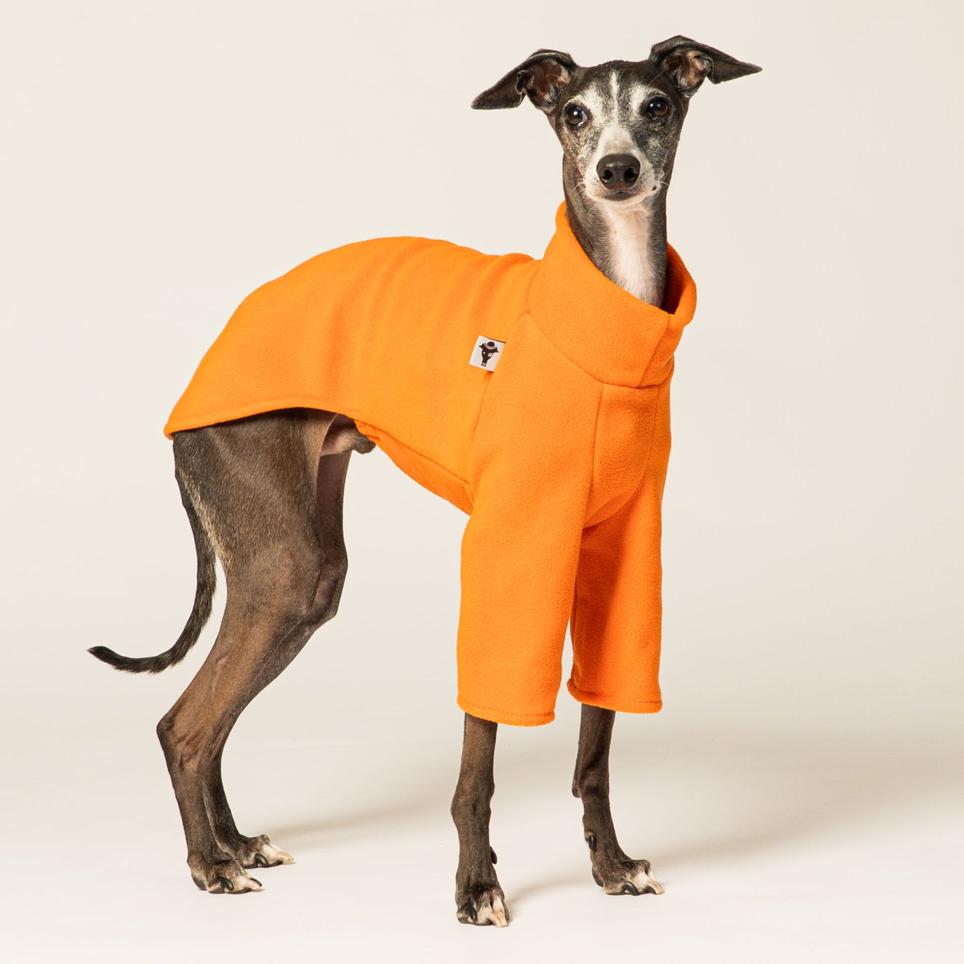Italienisches Windspiel trägt Fleece-Pullover in Orange – handgemacht in Berlin