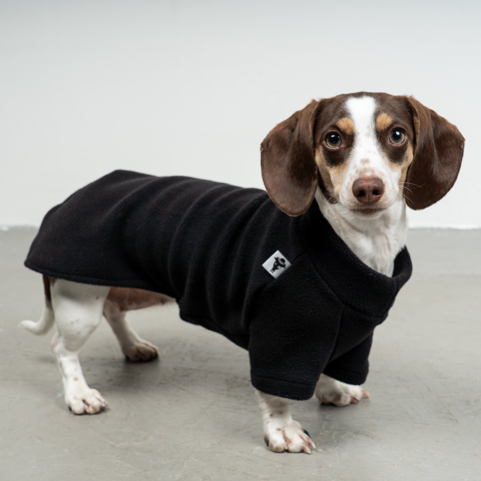 PULLOVER Dackel Schwarz
