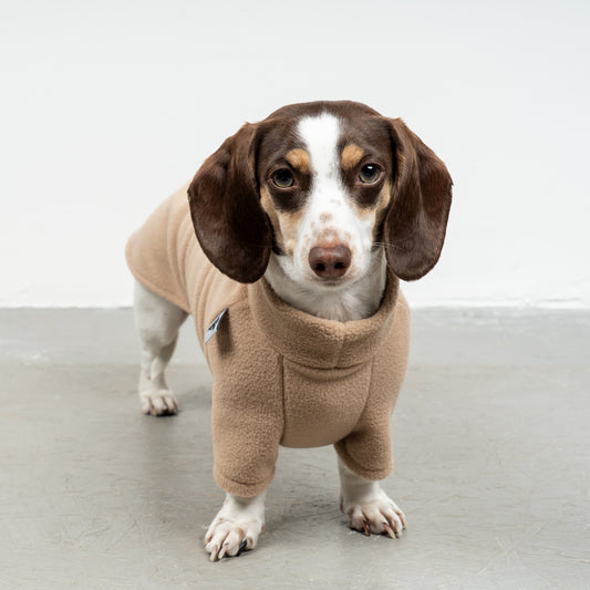 PULLOVER Dackel Camel