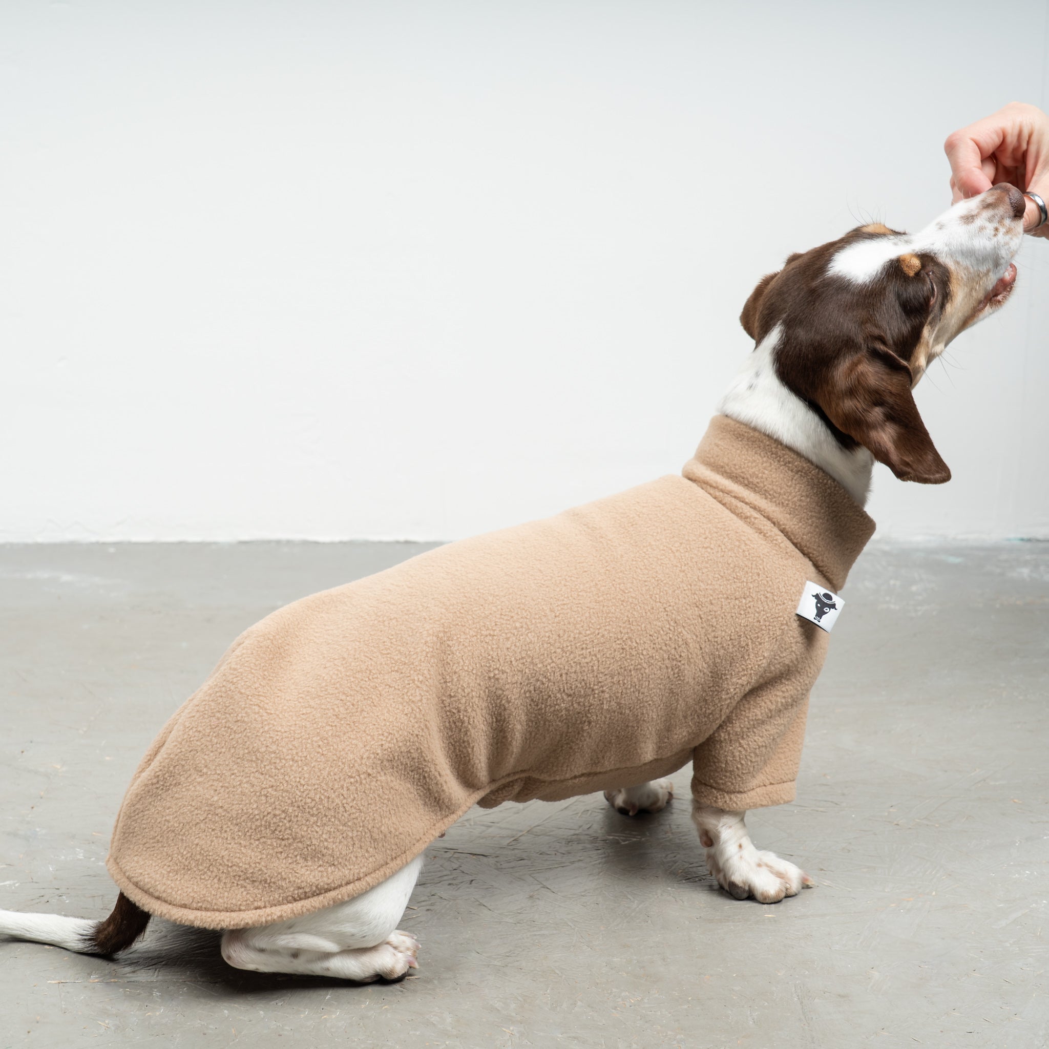 PULLOVER Dackel Camel