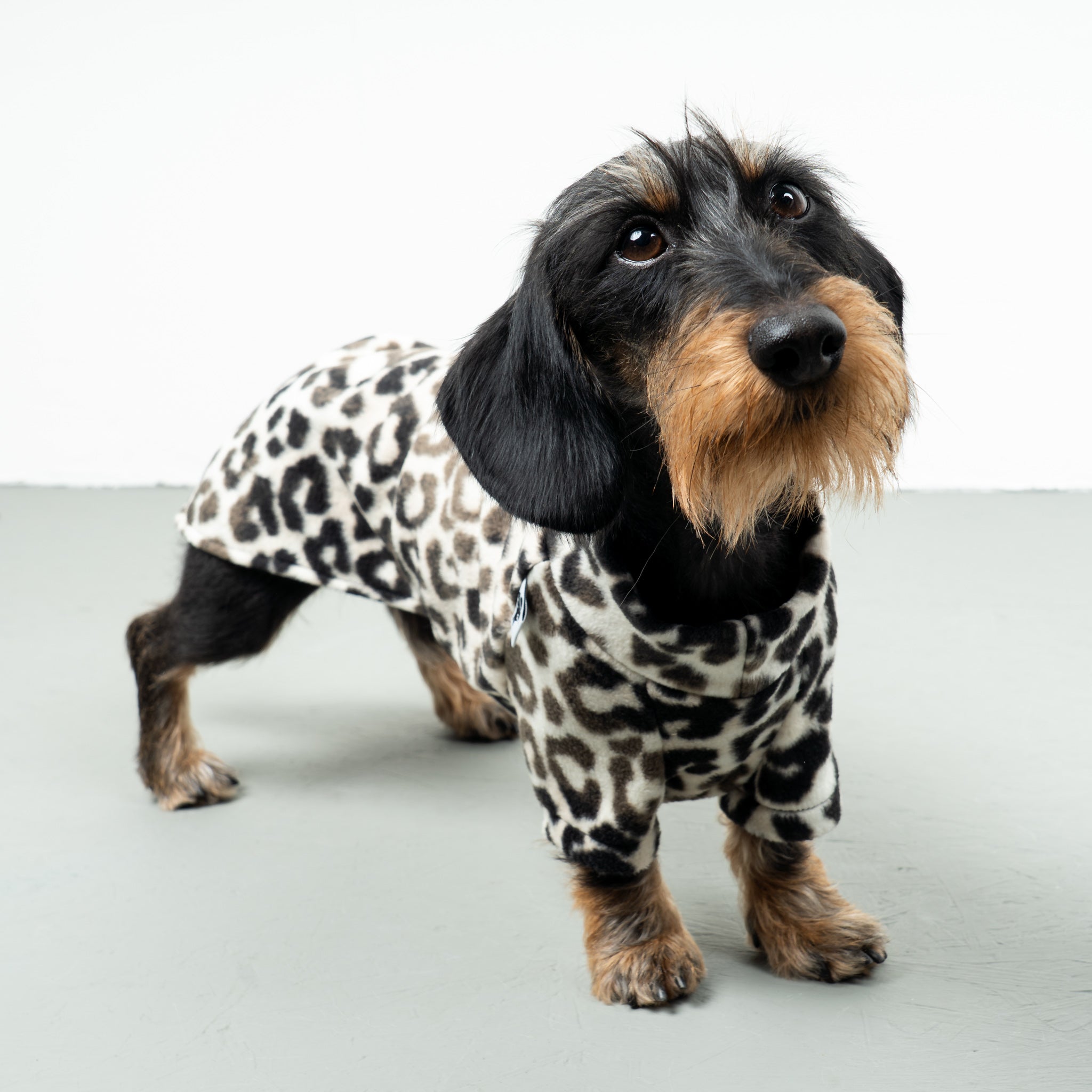 PULLOVER Dackel Leo