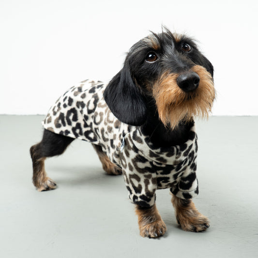 PULLOVER Dackel Leo