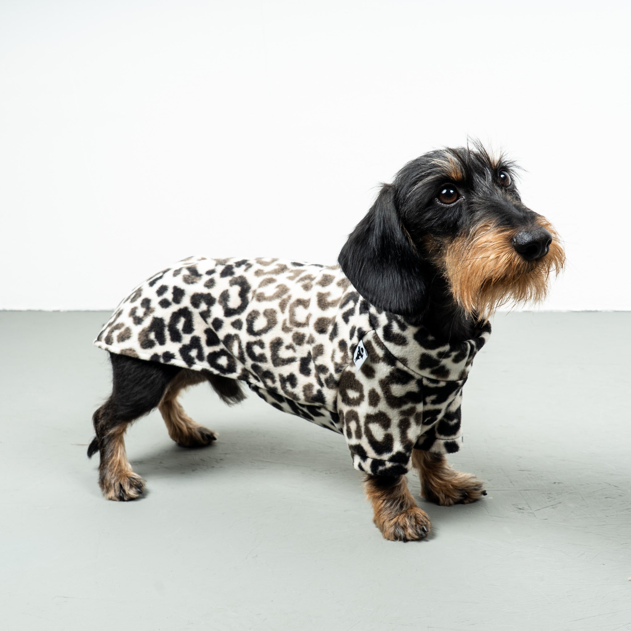 PULLOVER Dackel Leo