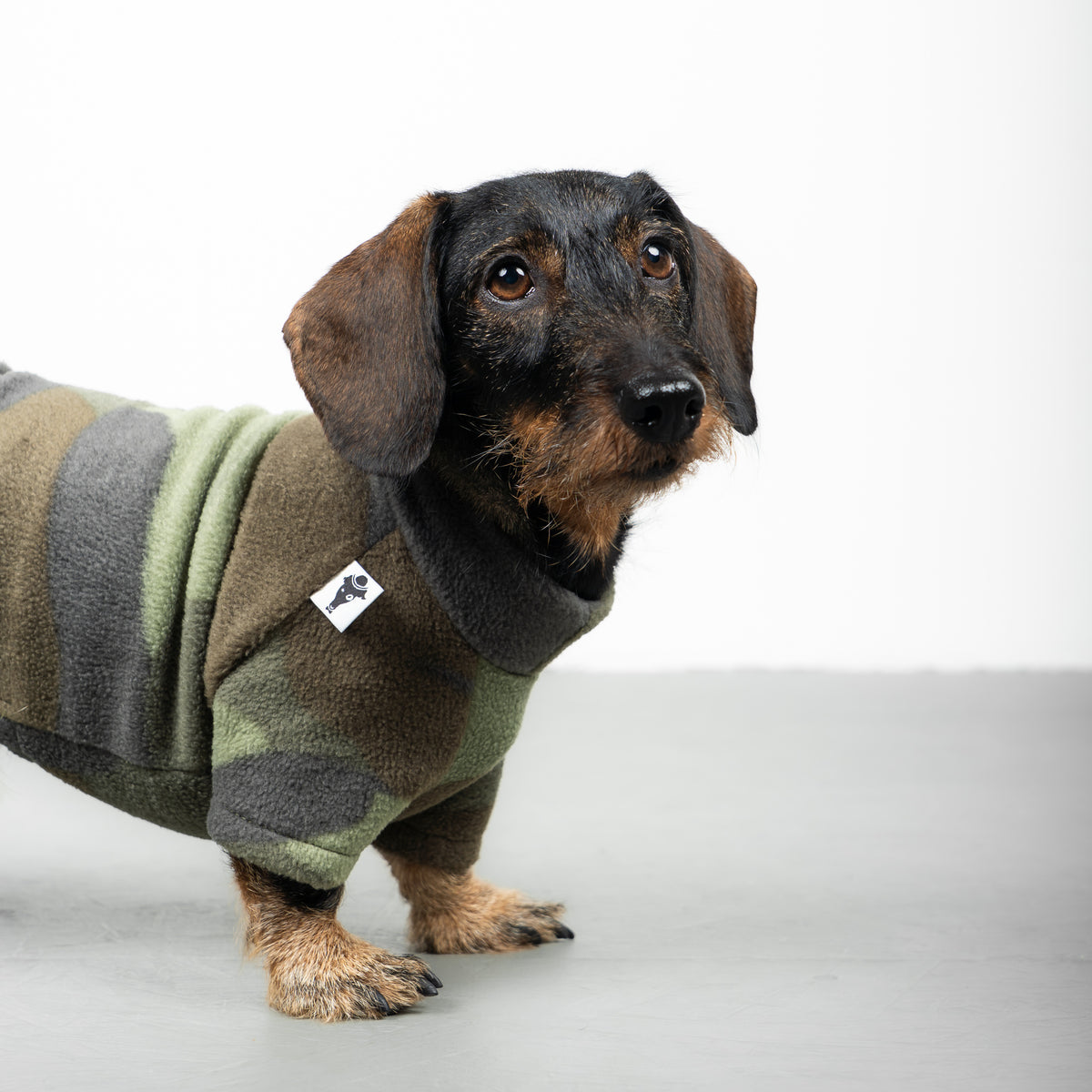 PULLOVER Dackel Camouflage