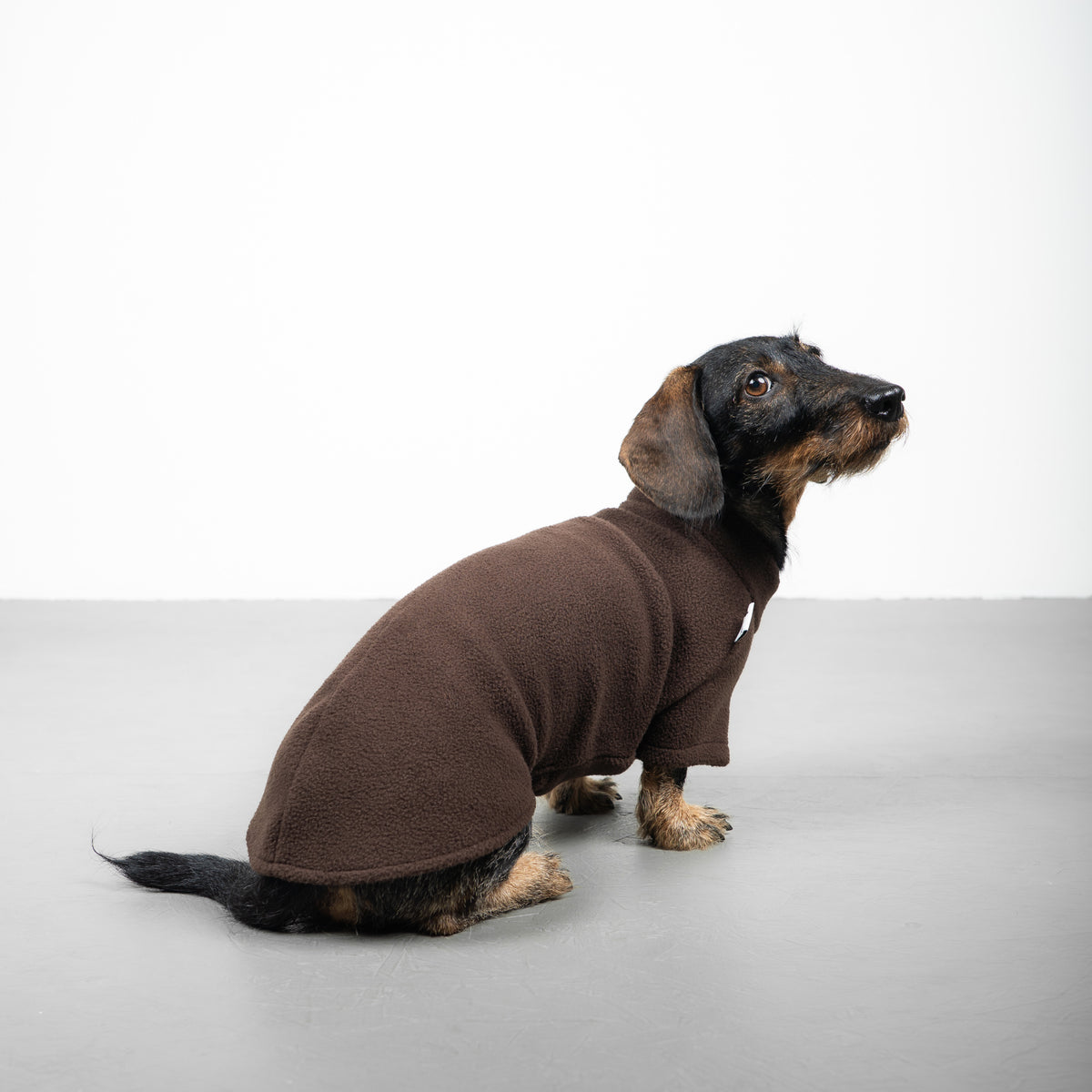 PULLOVER Dackel Dunkelbraun