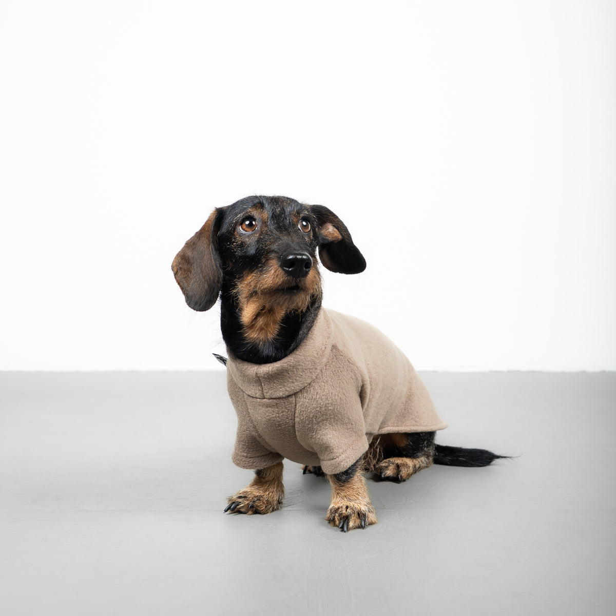 PULLOVER Dackel Taupe