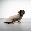 Bild in Galerie-Betrachter laden, PULLOVER Dackel Taupe
