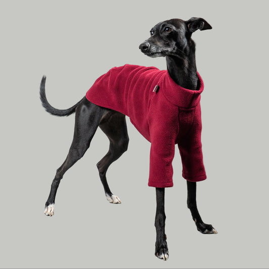 PULLOVER Iggy Weinrot