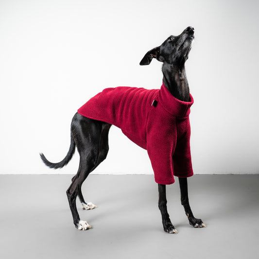 PULLOVER Iggy Weinrot