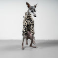 Bild in Galerie-Betrachter laden, PULLOVER Iggy Leo
