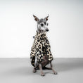 Bild in Galerie-Betrachter laden, PULLOVER Iggy Leo
