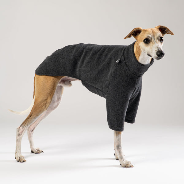 Whippet im Karma Hund Fleece-Pullover in Anthrazit – stilvolle und funktionale Hundemode im Studio.