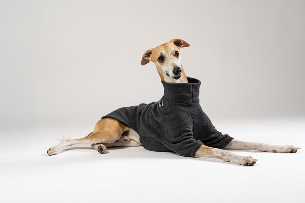 Edler Whippet im Fleece-Pullover in Anthrazit von Karma Hund – wärmende und stilvolle Hundebekleidung.