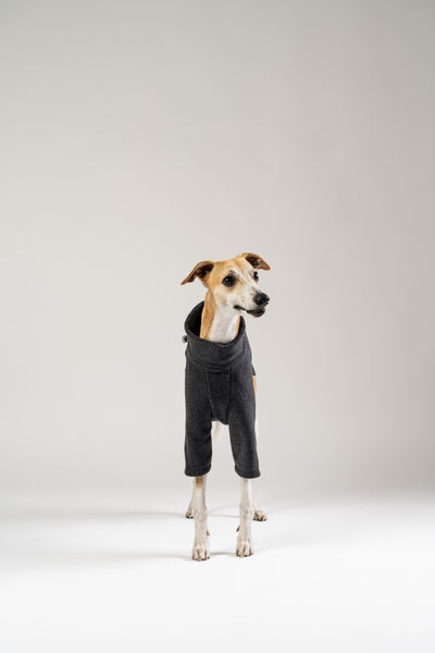 Whippet im weichen Fleece-Pullover in Anthrazit von Karma Hund – hochwertiger Komfort für modebewusste Hunde.