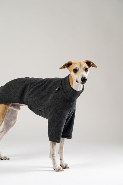 Hundemodel Whippet trägt anthrazitfarbenen Karma Hund Fleece-Pullover – klassischer Look mit sportlicher Eleganz.