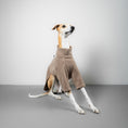 Bild in Galerie-Betrachter laden, PULLOVER Windhund Taupe
