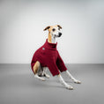 Bild in Galerie-Betrachter laden, PULLOVER Windhund Weinrot
