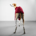 Bild in Galerie-Betrachter laden, PULLOVER Windhund Weinrot
