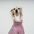 Bild in Galerie-Betrachter laden, PULLOVER Windhund Mulberry
