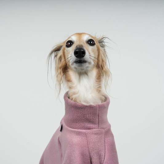 PULLOVER Windhund Mulberry